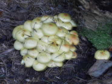 ritrovamenti 11 ottobre